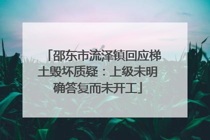 邵东市流泽镇回应梯土毁坏质疑：上级未明确答复而未开工