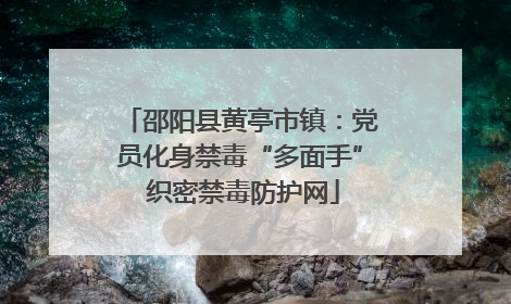 邵阳县黄亭市镇：党员化身禁毒“多面手” 织密禁毒防护网