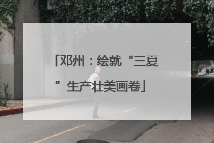 邓州：绘就“三夏”生产壮美画卷
