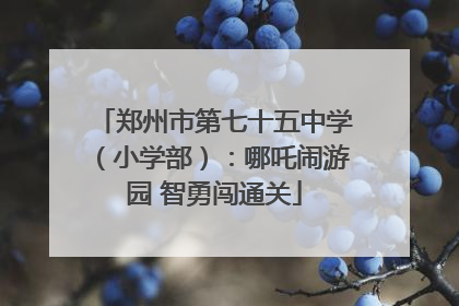 郑州市第七十五中学（小学部）：哪吒闹游园 智勇闯通关