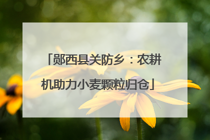 郧西县关防乡：农耕机助力小麦颗粒归仓