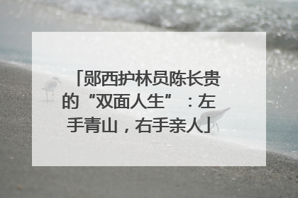 郧西护林员陈长贵的“双面人生”：左手青山，右手亲人