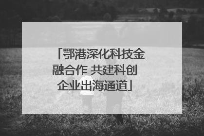 鄂港深化科技金融合作 共建科创企业出海通道