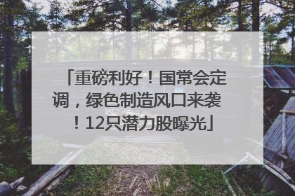 重磅利好！国常会定调，绿色制造风口来袭！12只潜力股曝光