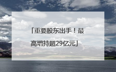重要股东出手！最高增持超29亿元