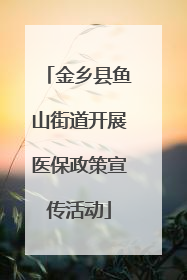 金乡县鱼山街道开展医保政策宣传活动