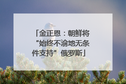 金正恩：朝鲜将“始终不渝地无条件支持”俄罗斯