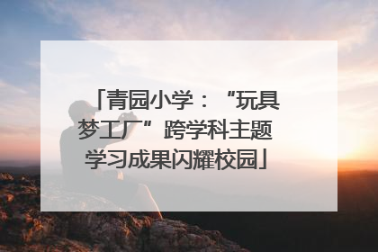 青园小学：“玩具梦工厂”跨学科主题学习成果闪耀校园