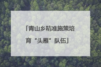 青山乡精准施策培育“头雁”队伍