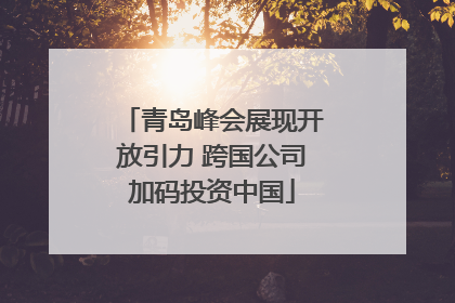 青岛峰会展现开放引力 跨国公司加码投资中国