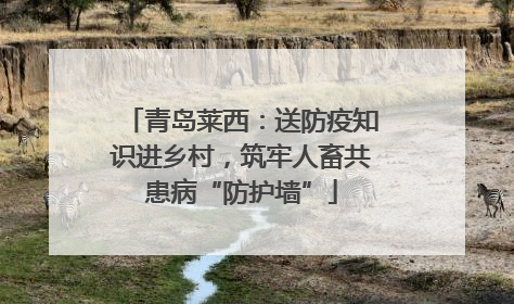 青岛莱西：送防疫知识进乡村，筑牢人畜共患病“防护墙”