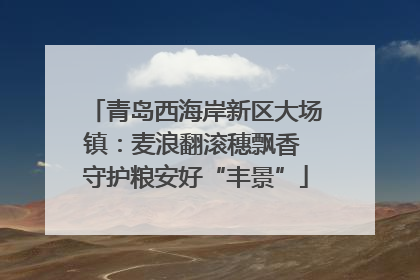 青岛西海岸新区大场镇：麦浪翻滚穗飘香 守护粮安好“丰景”