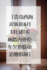 青岛西海岸新区6月13日起实施路内外停车欠费联动追缴机制