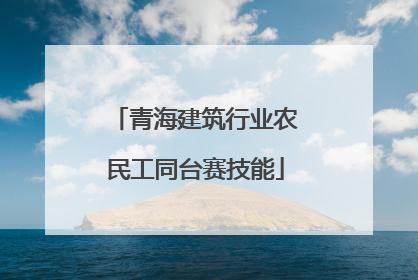 青海建筑行业农民工同台赛技能