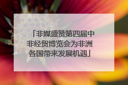 非媒盛赞第四届中非经贸博览会为非洲各国带来发展机遇