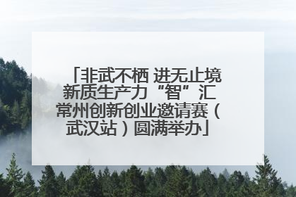 非武不栖 进无止境 新质生产力“智”汇常州创新创业邀请赛（武汉站）圆满举办