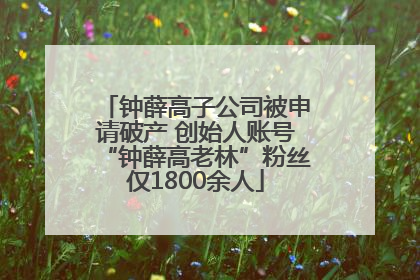 钟薛高子公司被申请破产 创始人账号“钟薛高老林”粉丝仅1800余人
