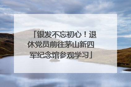 银发不忘初心！退休党员前往茅山新四军纪念馆参观学习