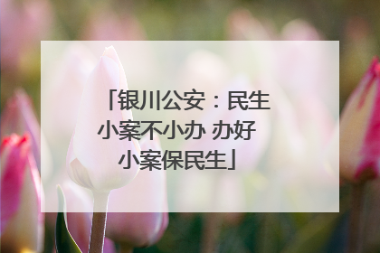 银川公安：民生小案不小办 办好小案保民生