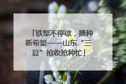 铁犁不停歇，播种新希望——山东“三夏”抢收抢种忙