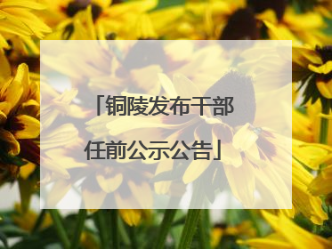 铜陵发布干部任前公示公告