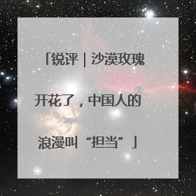 锐评｜沙漠玫瑰开花了，中国人的浪漫叫“担当”