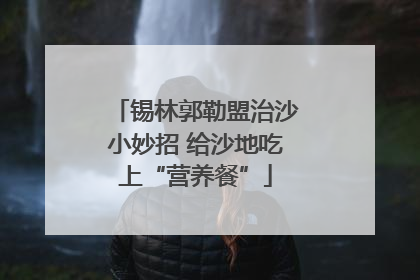 锡林郭勒盟治沙小妙招 给沙地吃上“营养餐”