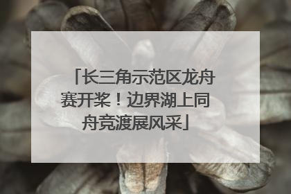 长三角示范区龙舟赛开桨！边界湖上同舟竞渡展风采