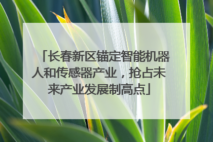 长春新区锚定智能机器人和传感器产业，抢占未来产业发展制高点