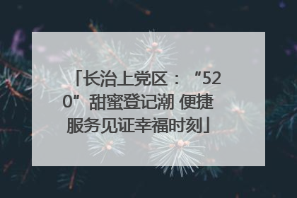长治上党区：“520”甜蜜登记潮 便捷服务见证幸福时刻