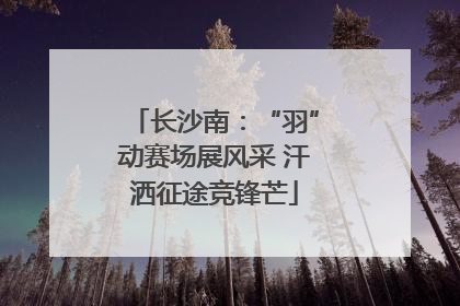 长沙南：“羽”动赛场展风采 汗洒征途竞锋芒