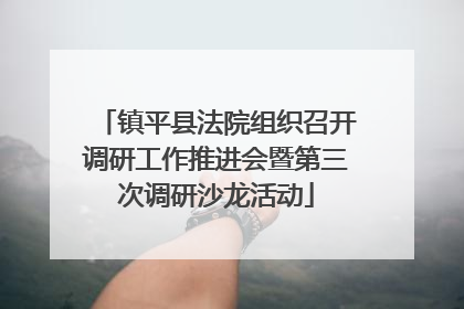 镇平县法院组织召开调研工作推进会暨第三次调研沙龙活动