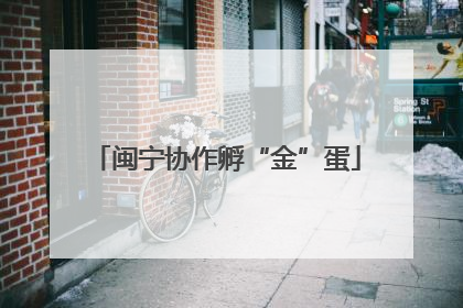 闽宁协作孵“金”蛋