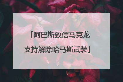 阿巴斯致信马克龙 支持解除哈马斯武装