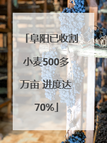 阜阳已收割小麦500多万亩 进度达70%