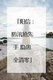 阳信：防汛抢先手 隐患全清零