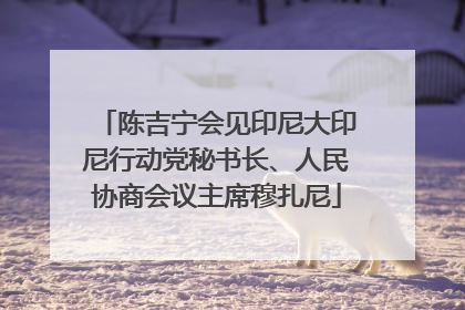 陈吉宁会见印尼大印尼行动党秘书长、人民协商会议主席穆扎尼