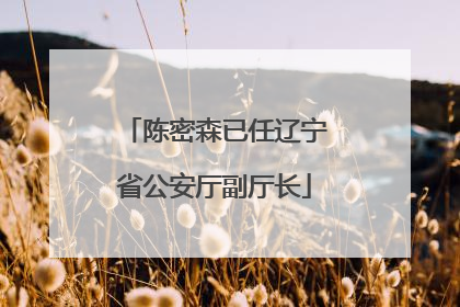 陈密森已任辽宁省公安厅副厅长