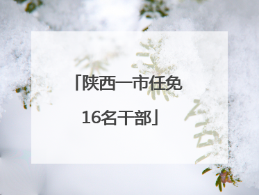陕西一市任免16名干部