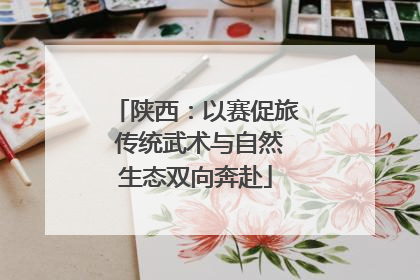 陕西：以赛促旅 传统武术与自然生态双向奔赴