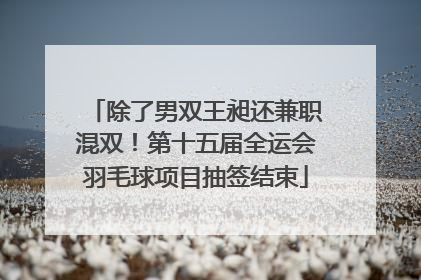 除了男双王昶还兼职混双！第十五届全运会羽毛球项目抽签结束