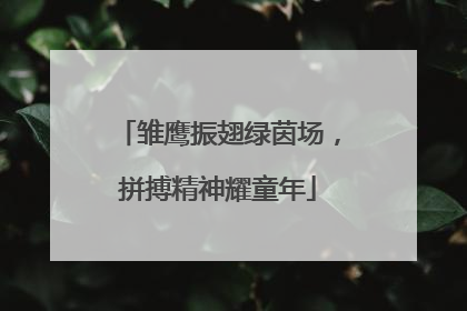 雏鹰振翅绿茵场，拼搏精神耀童年