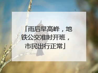 雨后早高峰，地铁公交准时开班，市民出行正常