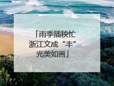 雨季插秧忙 浙江文成“丰”光美如画