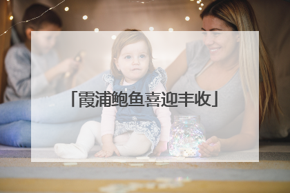 霞浦鲍鱼喜迎丰收