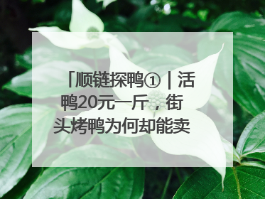 顺链探鸭①｜活鸭20元一斤，街头烤鸭为何却能卖到20多元一只