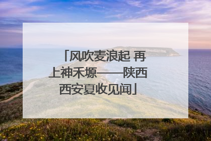 风吹麦浪起 再上神禾塬——陕西西安夏收见闻