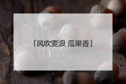风吹麦浪 瓜果香