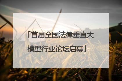 首届全国法律垂直大模型行业论坛启幕