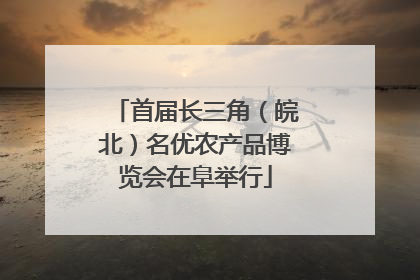 首届长三角（皖北）名优农产品博览会在阜举行